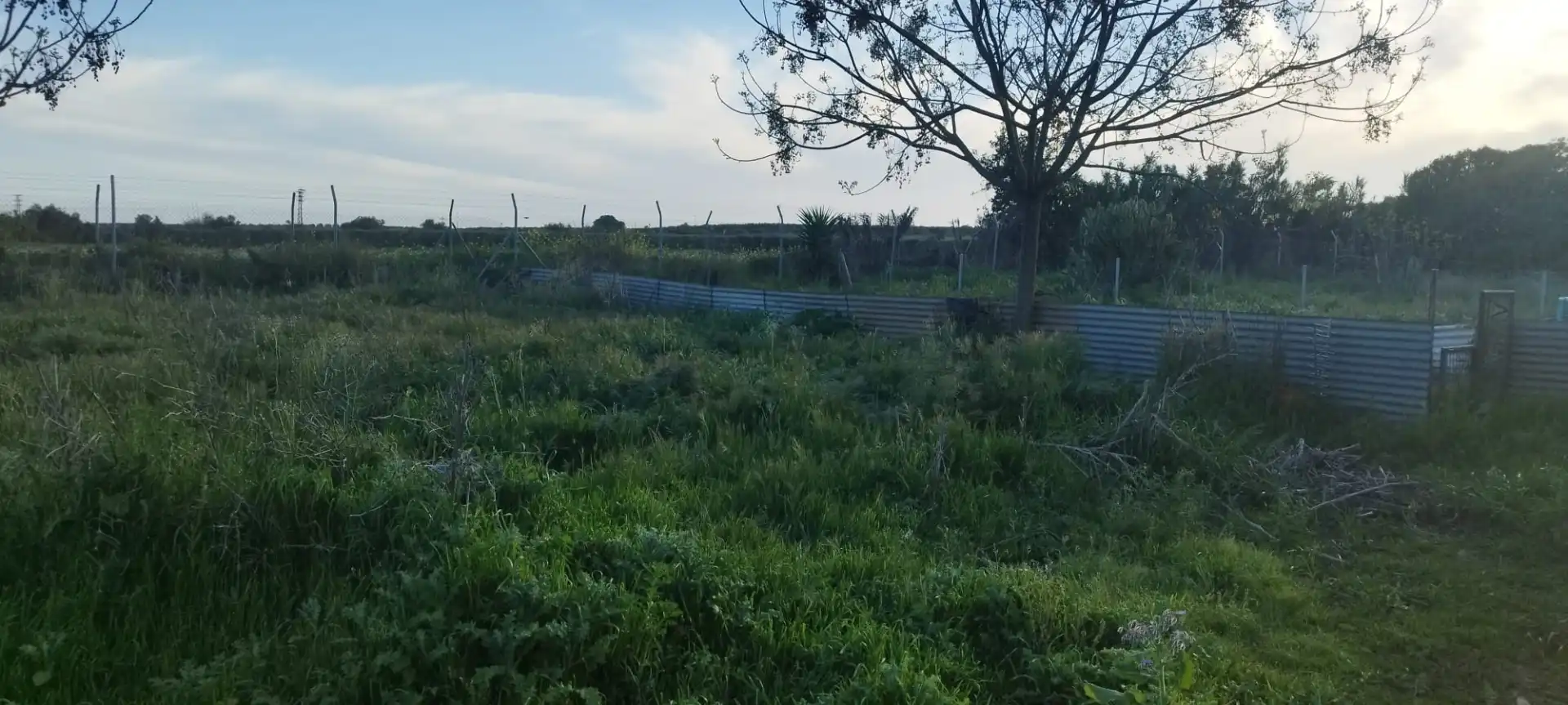 Finca rústica en venda en Aznalcázar