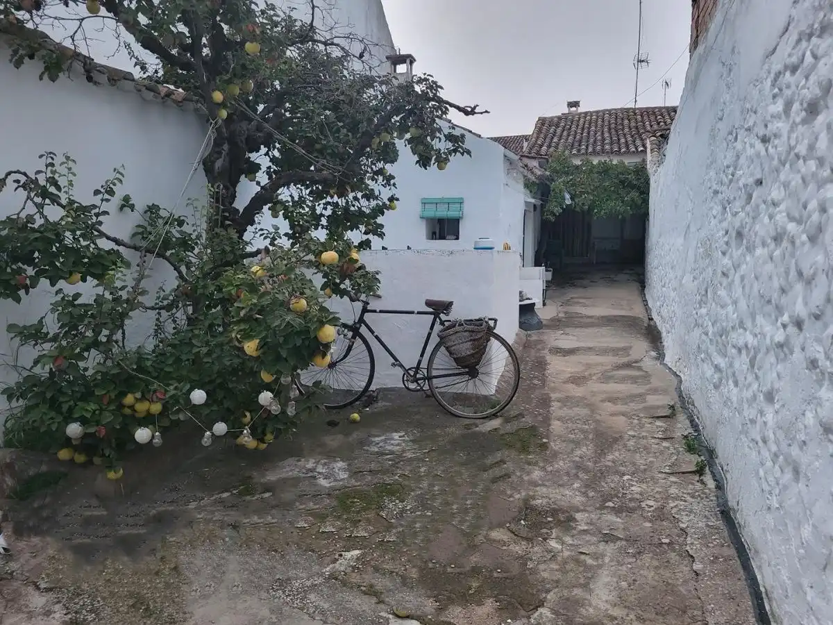 Vista exterior de Casa o xalet en venda en Sisante amb Piscina