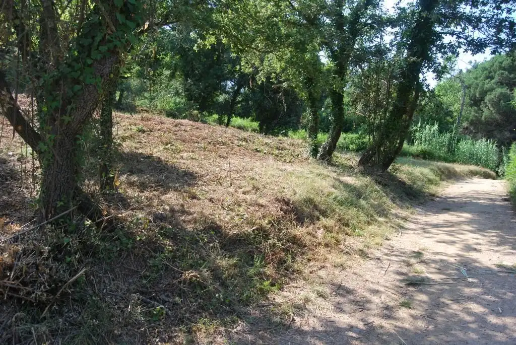 Terreny rústic en venda a Sant Celoni, imagen 10
