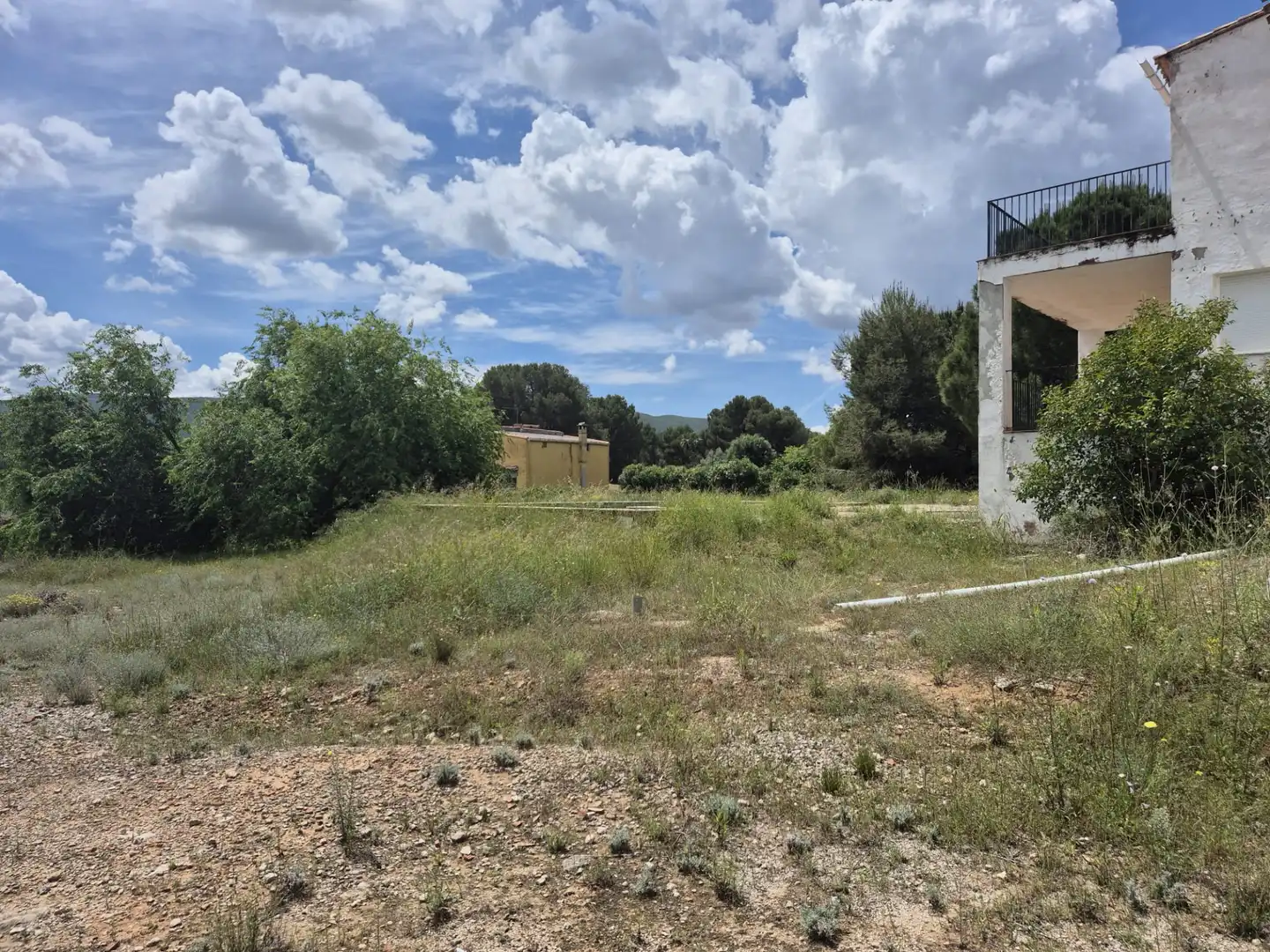 Houses for sale in Sollana  with Terrace