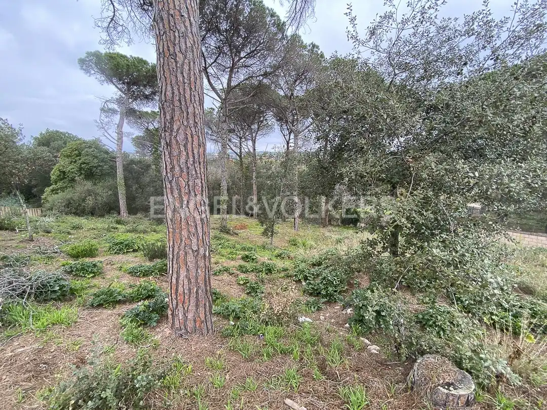 Terreno residencial en venta en Mas Mora - Sant Daniel, imagen 4