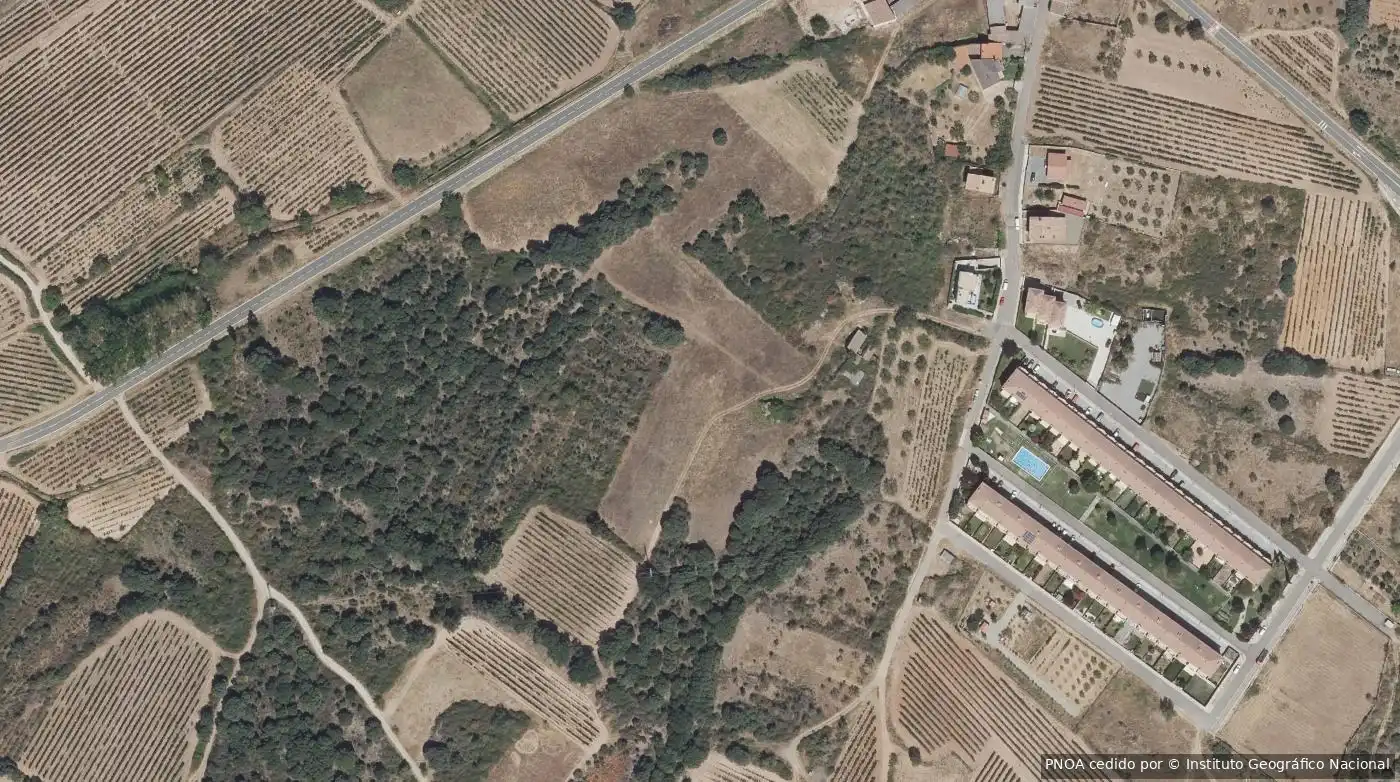 Terrain rustique à vendre à Medrano, imagen 3