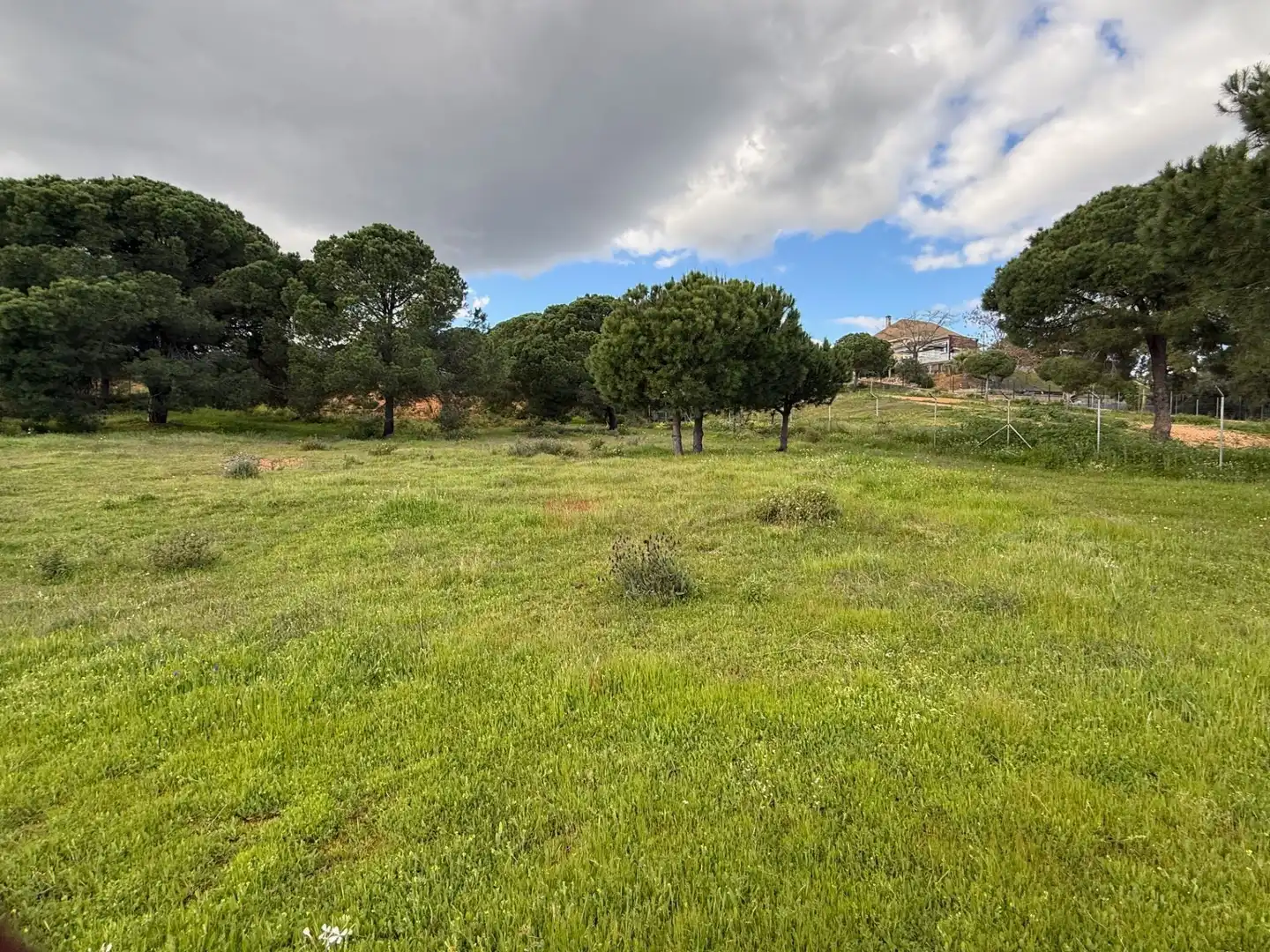 Terrenos y solares en venta en Las Palmillas, imagen 5