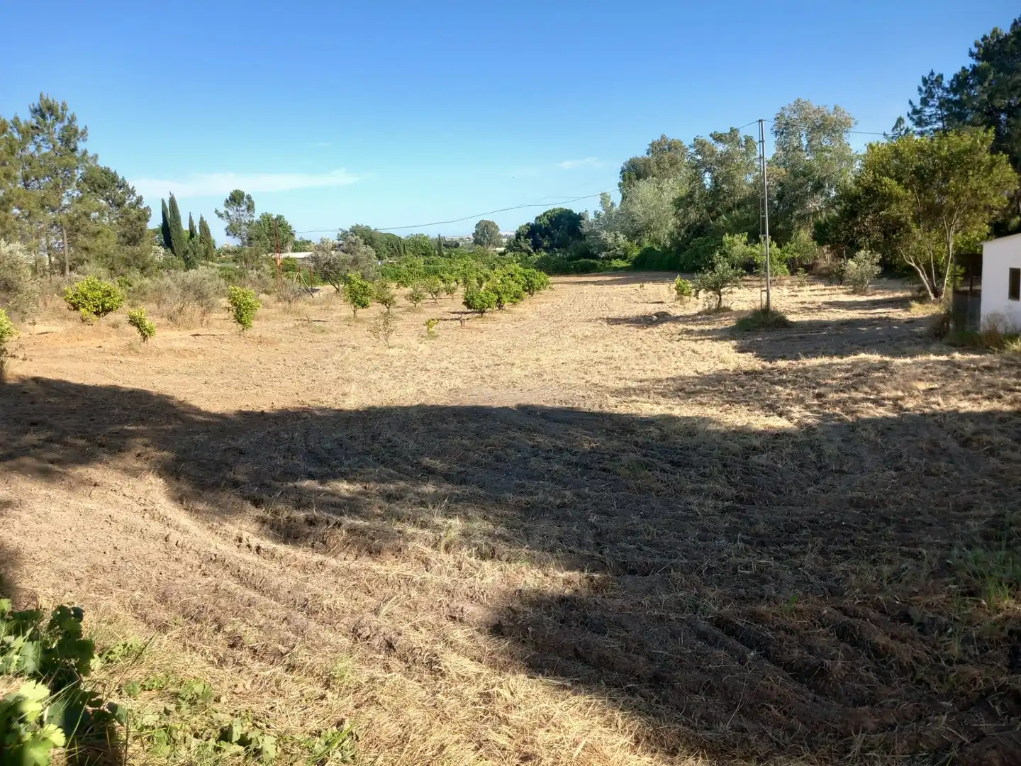 Maison rustique à vendre à Carretera Gibraleón, imagen 6