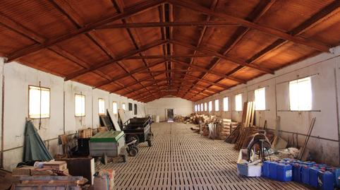 Foto 5 de Casa o chalet en venta en El Manzanillar , Benaoján, Málaga