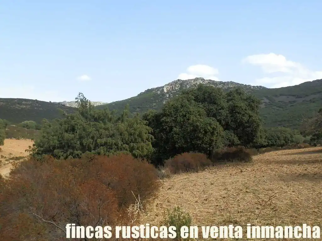 Terreni e lotti in vendita a Peñalsordo, imagen 10