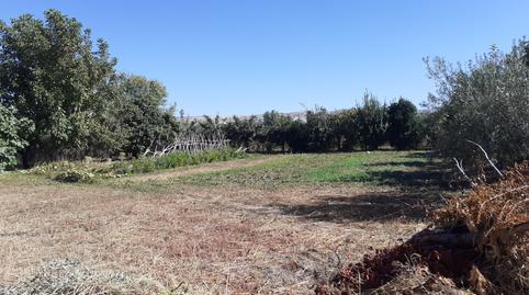 Foto 4 de Terreny en venda a La Zubia Ciudad, La Zubia