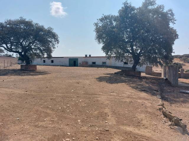 Terreno en Venta en Fuente Obejuna