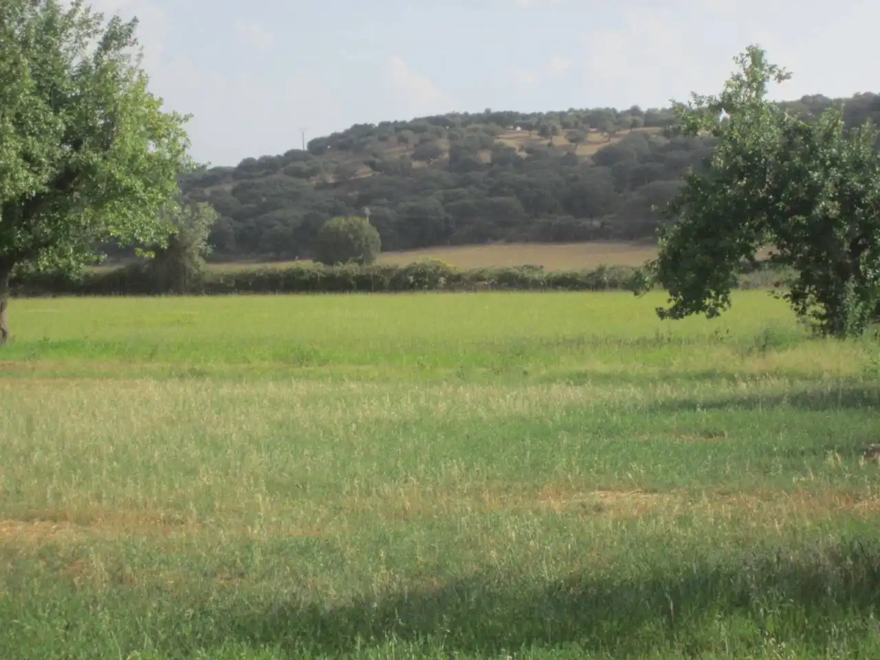Terreno rustico in vendita a Calle RONDA DEL MEDIODIA, imagen 22