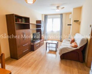 Living room of Flat to rent in Alcázar de San Juan  with Air Conditioner, Heating and Furnished