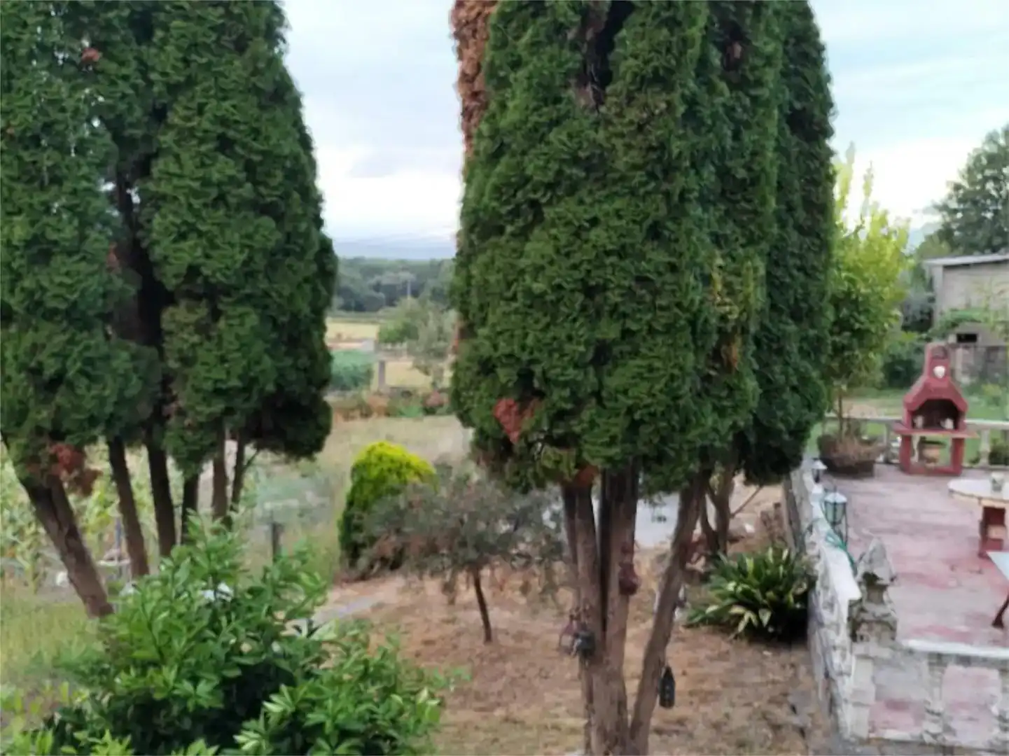 Jardí de Casa o xalet en venda en Coles amb Balcó