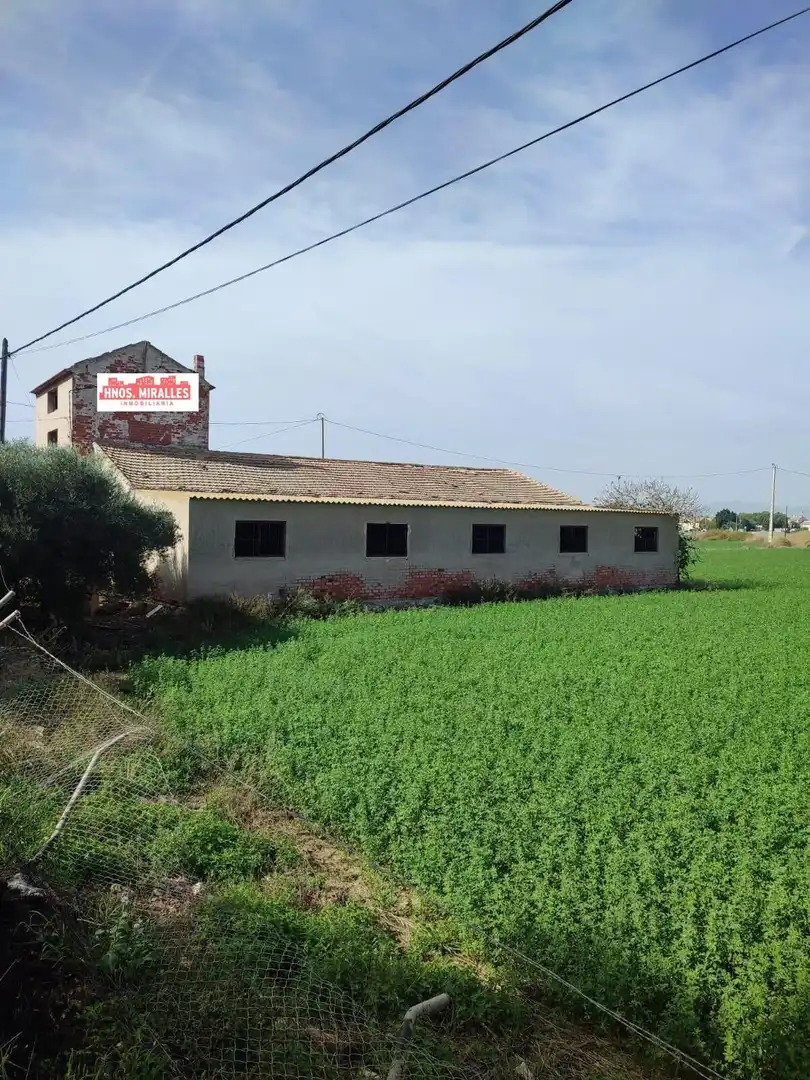 Terreny rústic en venda a Dolores, imagen 10
