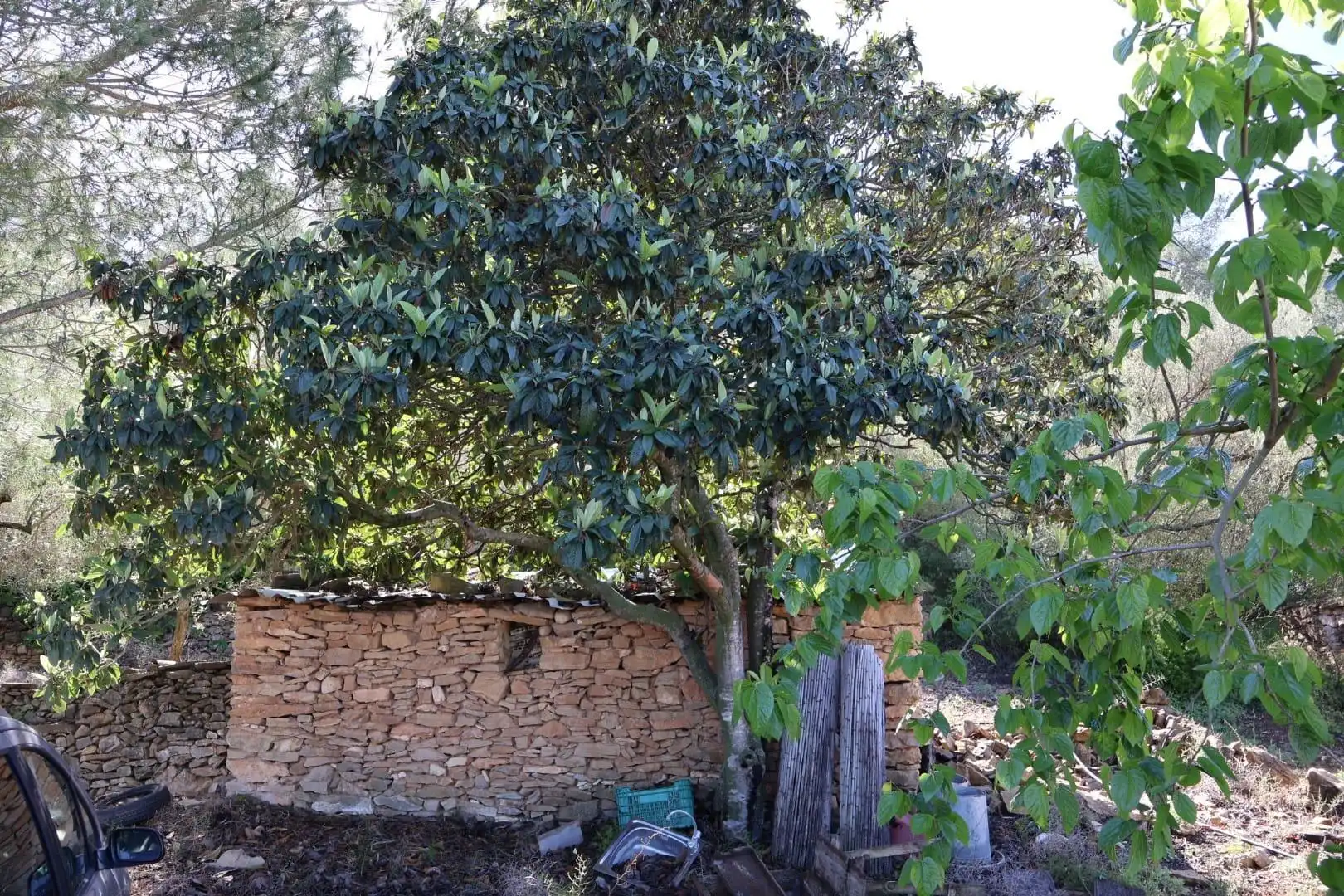 Landhaus mit Garten zum Verkauf in Vilafamés, imagen 39