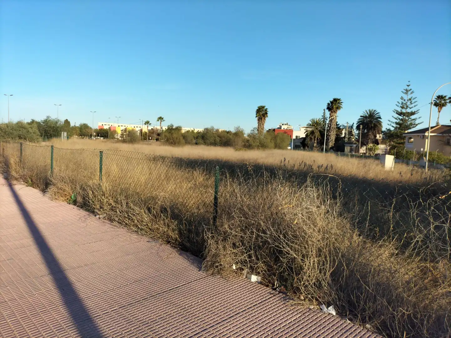 Terreny industrial en venda a Callosa de Segura, imagen 2