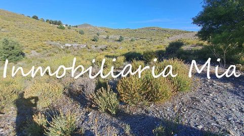 SE VENDE SOLAR DE 20.000 M2 DE SUPERCICE DE PARCELA!