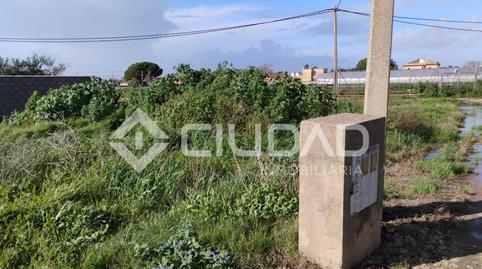 Photo 5 of Land for sale in La Jara, Cádiz