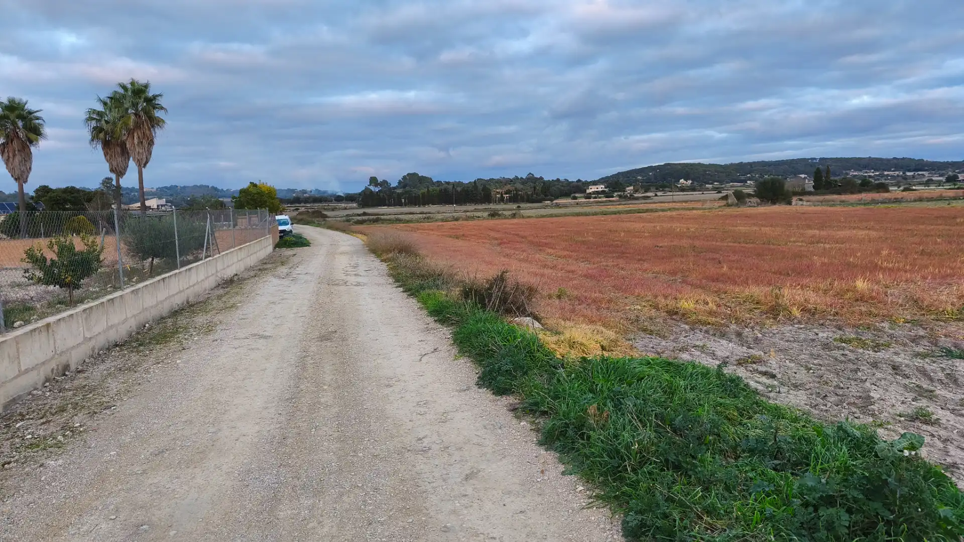 Terreny en venda a Montuïri