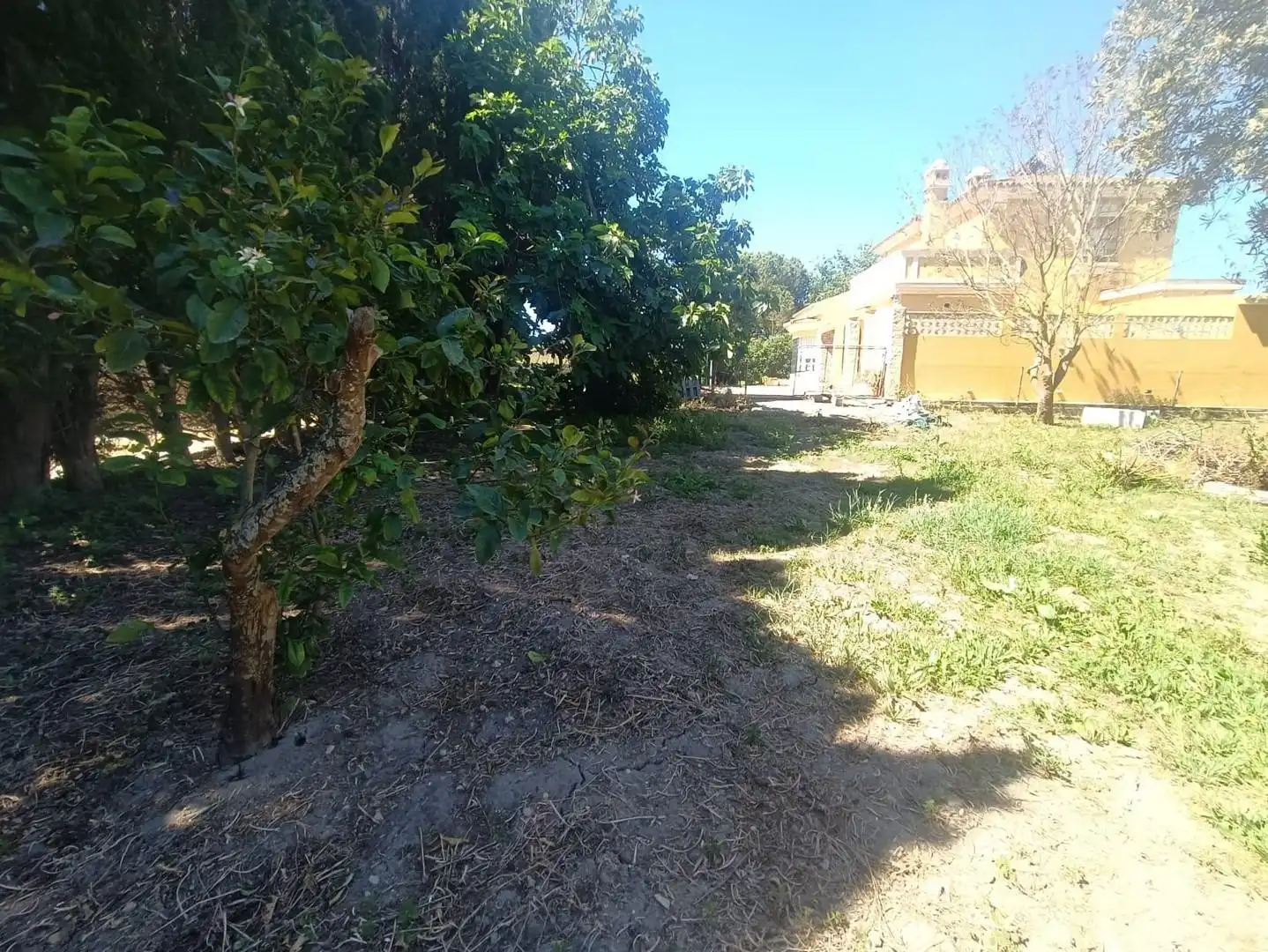 Terreny residencial en venda a Ctra Sanlúcar - Cuatro Pinos, imagen 9