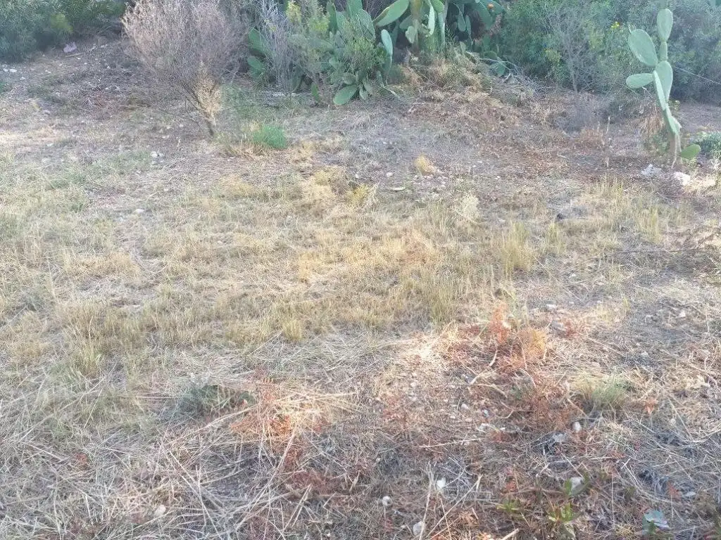 Rural land for sale in C/ de la cala Crancs, imagen 6