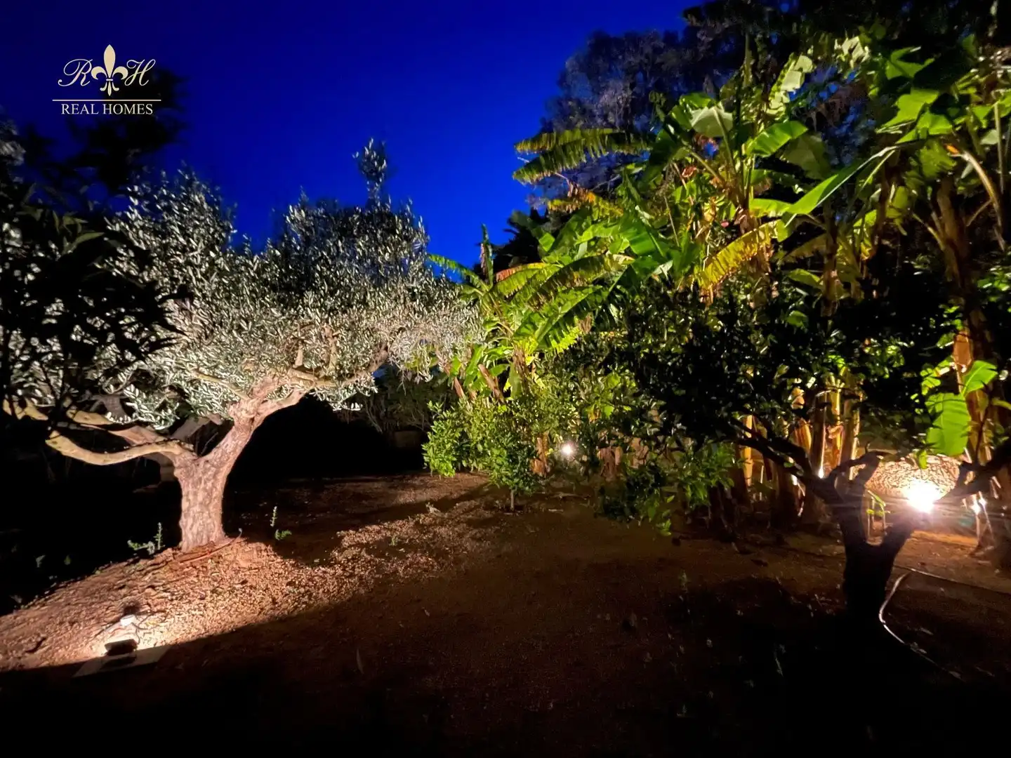 Jardín de Casa o chalet de alquiler en L'Alfàs del Pi con Aire acondicionado, Calefacción y Terraza