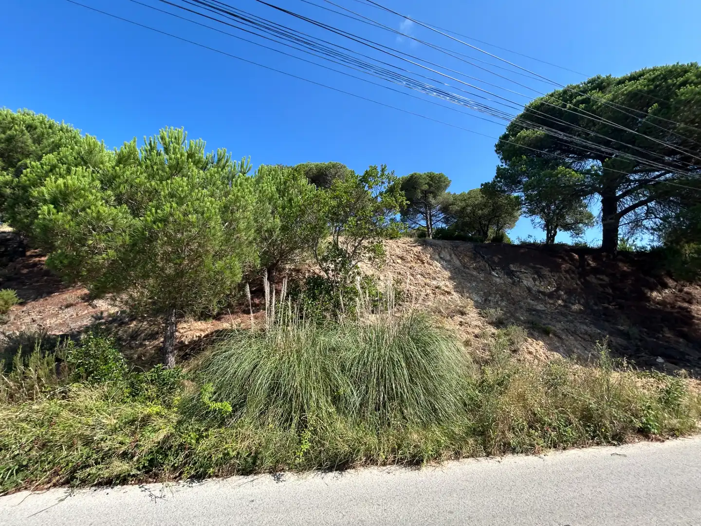 Residential land for sale in Avinguda de la Senyera 27, imagen 4