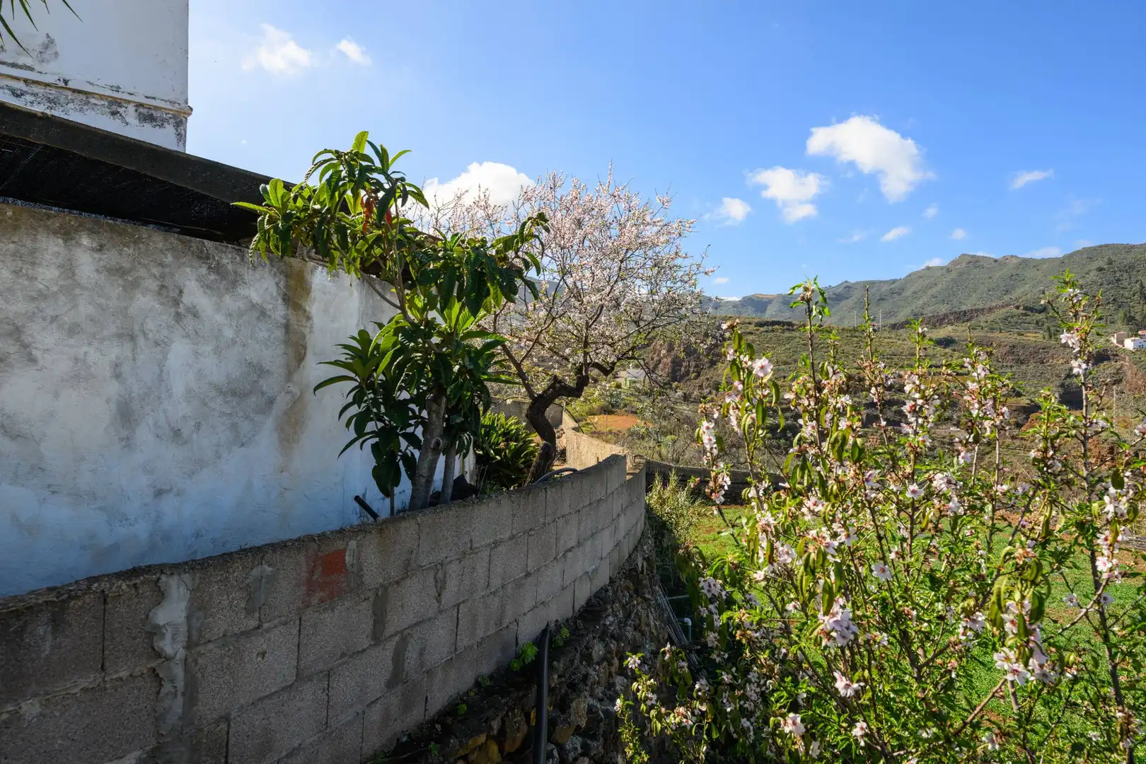 Vista exterior de Casa o xalet en venda en Valsequillo de Gran Canaria amb Jardí privat i Terrassa
