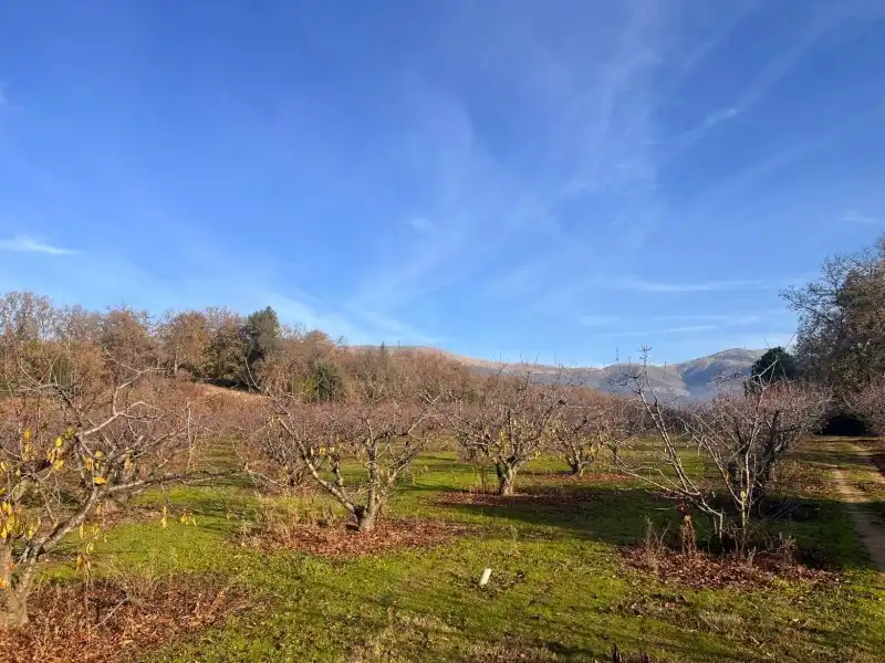 Casa o chalet en venta en Cuacos de Yuste con Piscina