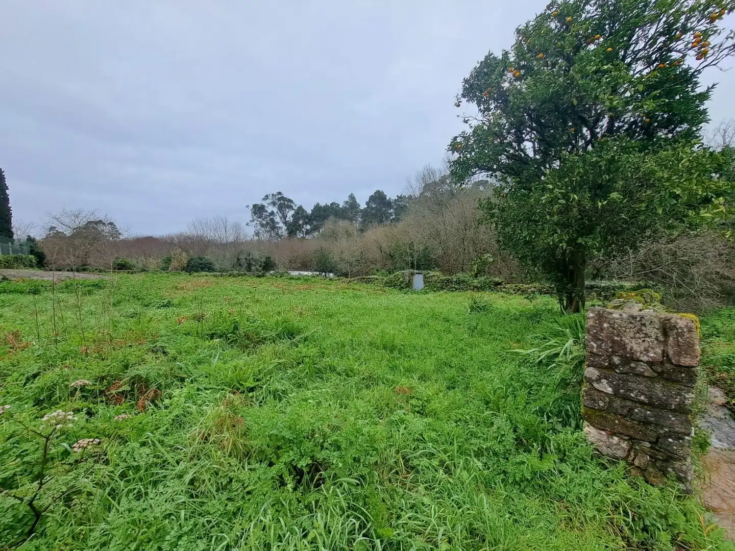 Terrenys i solars en venda a Rianxo, imagen 2