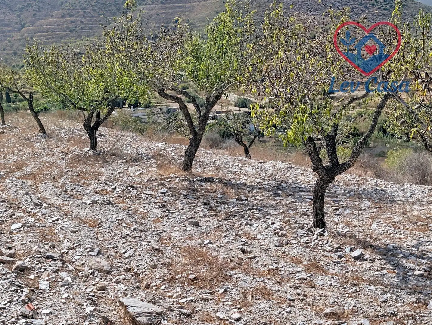 Terreno rustico in vendita a Playa del Galán, imagen 30