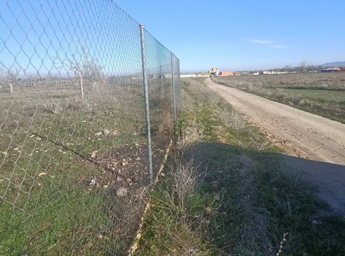 Rural land for sale in Manzaneque, imagen 5