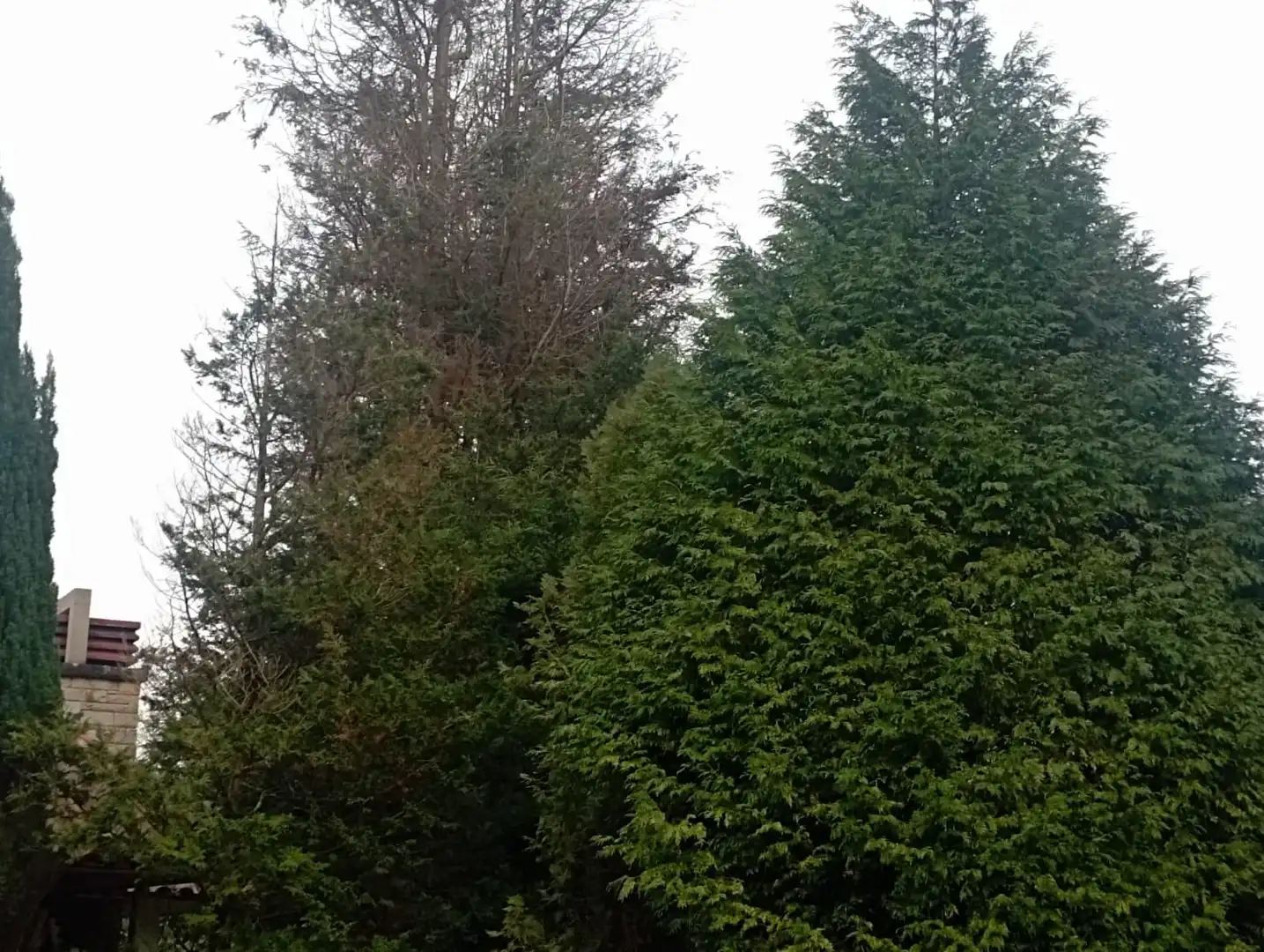 Country house zum Verkauf in Gijón  mit Klimaanlage, Privatgarten und Terrasse