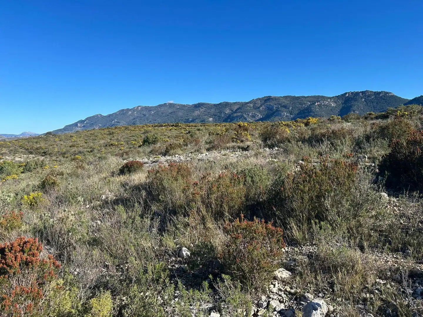 Finca rústica en venta en partida Pla de la Viña, Alfafara