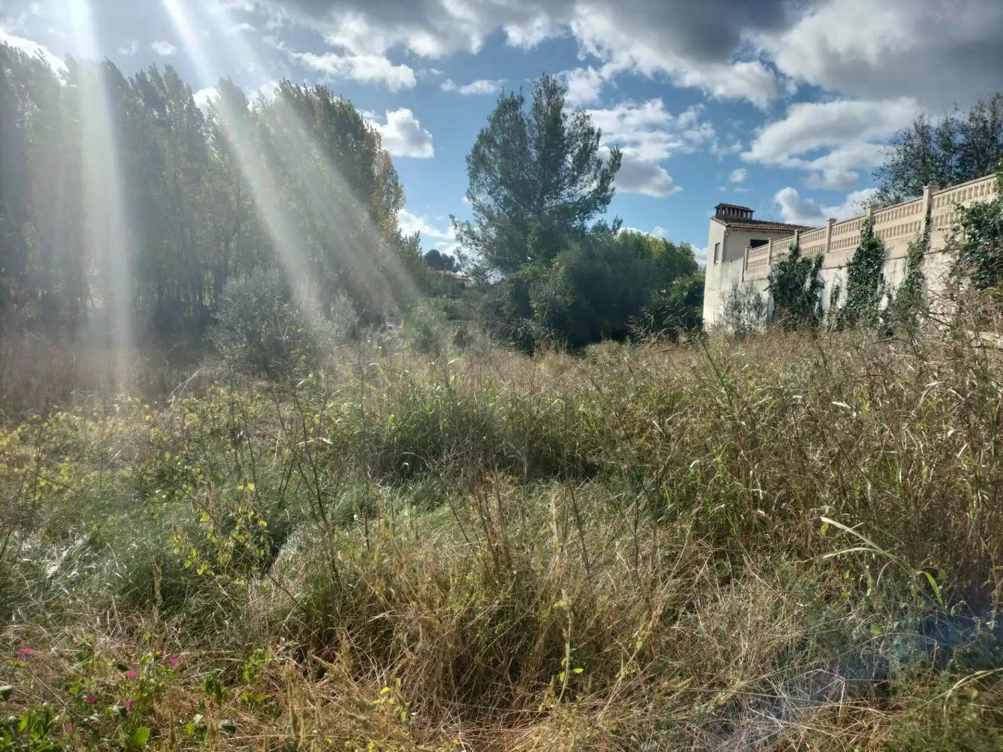 Terreno residenziale in vendita a Urbanizacion PLAYA MONTE 1 318, imagen 12