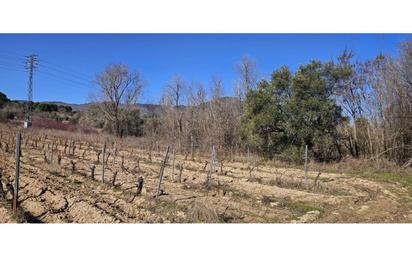 Land for sale in San Martín de Valdeiglesias