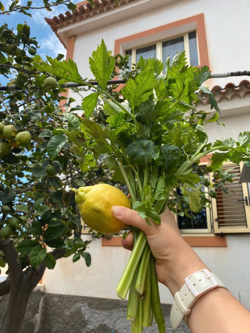 Jardí de Pis de lloguer en Las Palmas de Gran Canaria amb Jardí privat i Terrassa