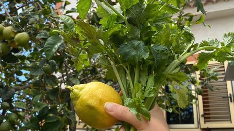 Photo 3 of Flat to rent in Lugar Llanos de Cuatro Caminos, Marzagán - Los Hoyos - La Montañeta, Las Palmas