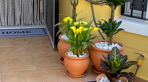 Foto 4 de Casa adosada en venta en El Raso, Guardamar del Segura