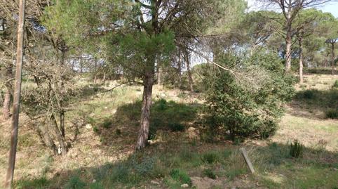 Foto 2 de Terreno industrial en venta en Vilanova del Vallès, Barcelona