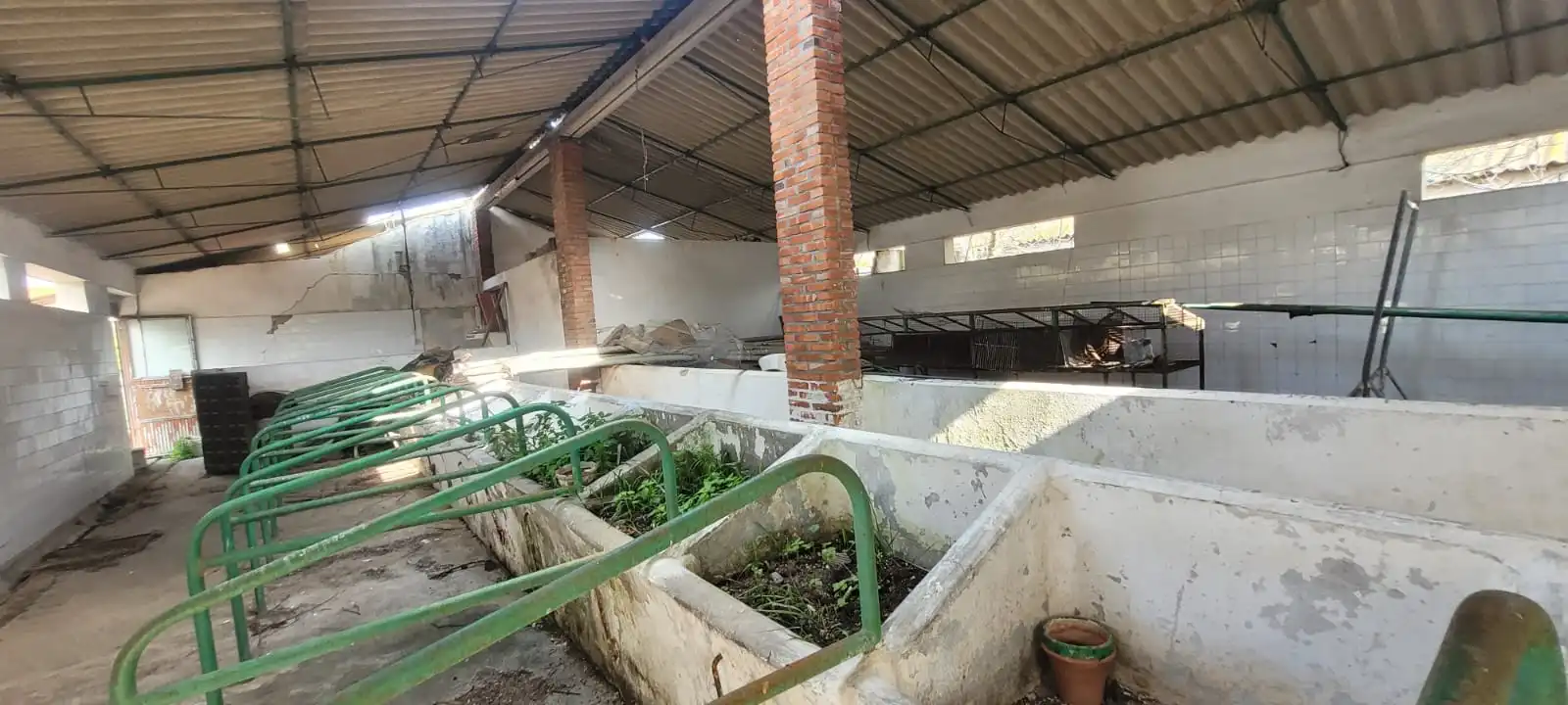Casa rústica amb piscina en venda a Autovía Los Barrios 8, imagen 34