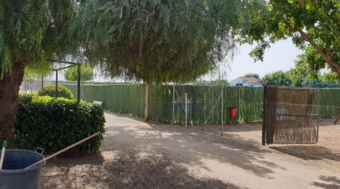 Foto 5 de Finca rústica en venta en Parque de la Constitución, 5a, Villanueva de la Serena, Badajoz
