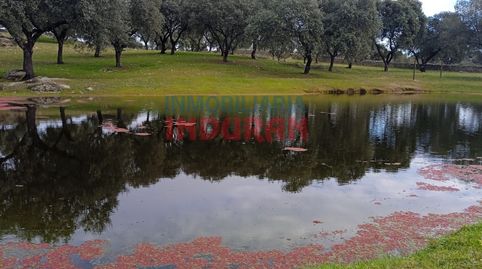 Finca rústica dehesa en Parrillas Toledo con vivienda, piscina y vistas a Gredos  A 90 min de MadridFinca rústica en venta en Parr, immagine 4