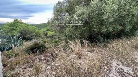 GRAN TERRENO CON VISTAS!!!, imagen 3