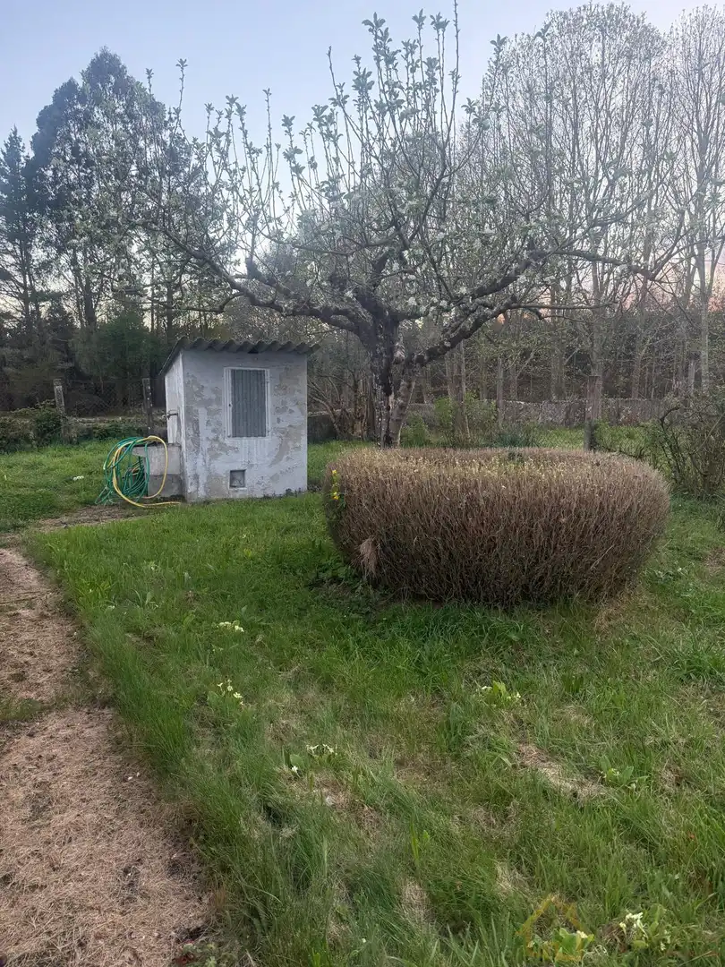 Casa o chalet en venta en Friol