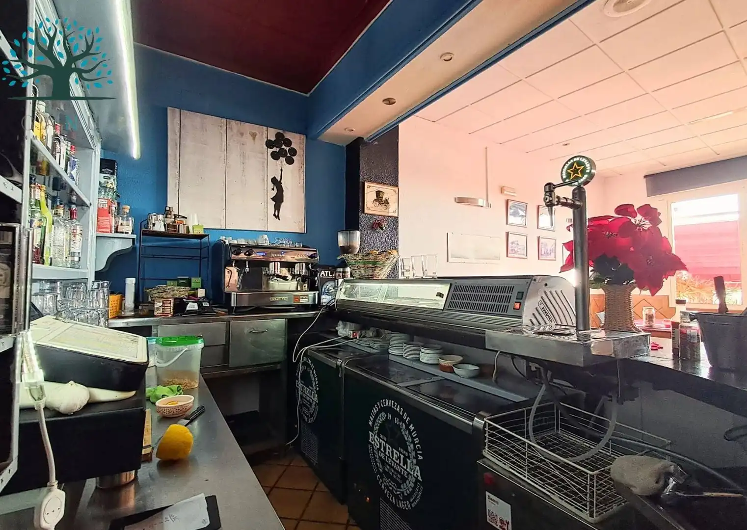 Local comercial en venda a Calle PIEDRA MALA, imagen 11