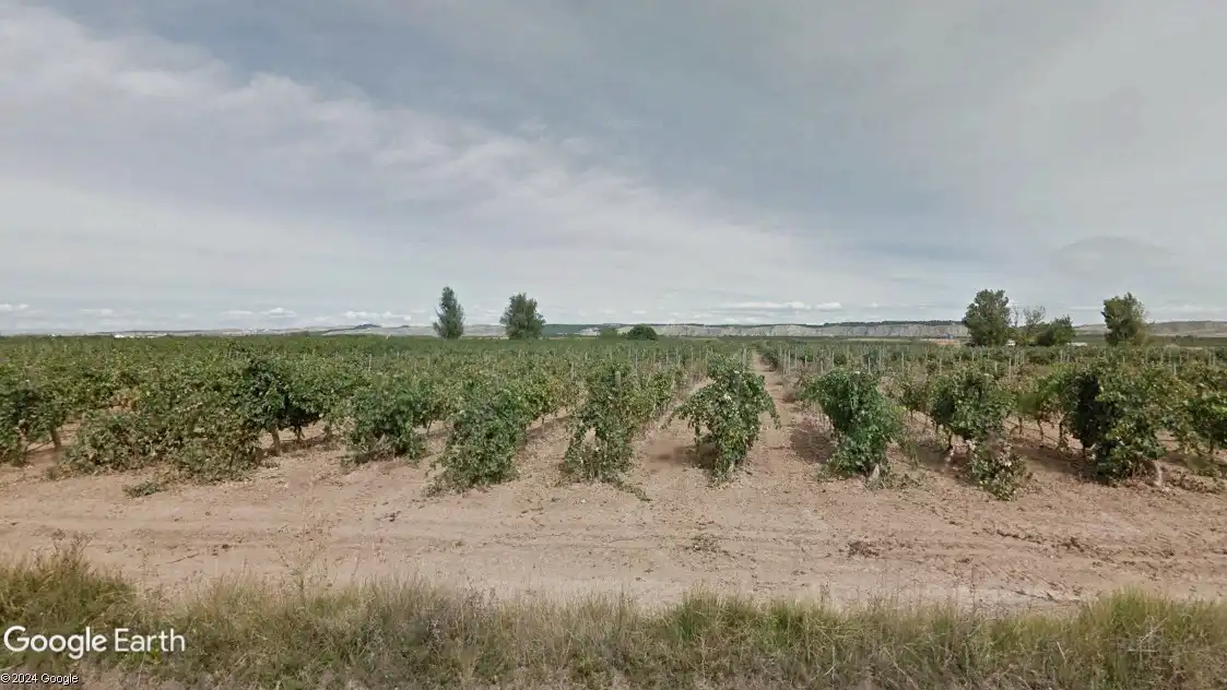 Terreny rústic en venda a Calahorra, imagen 4