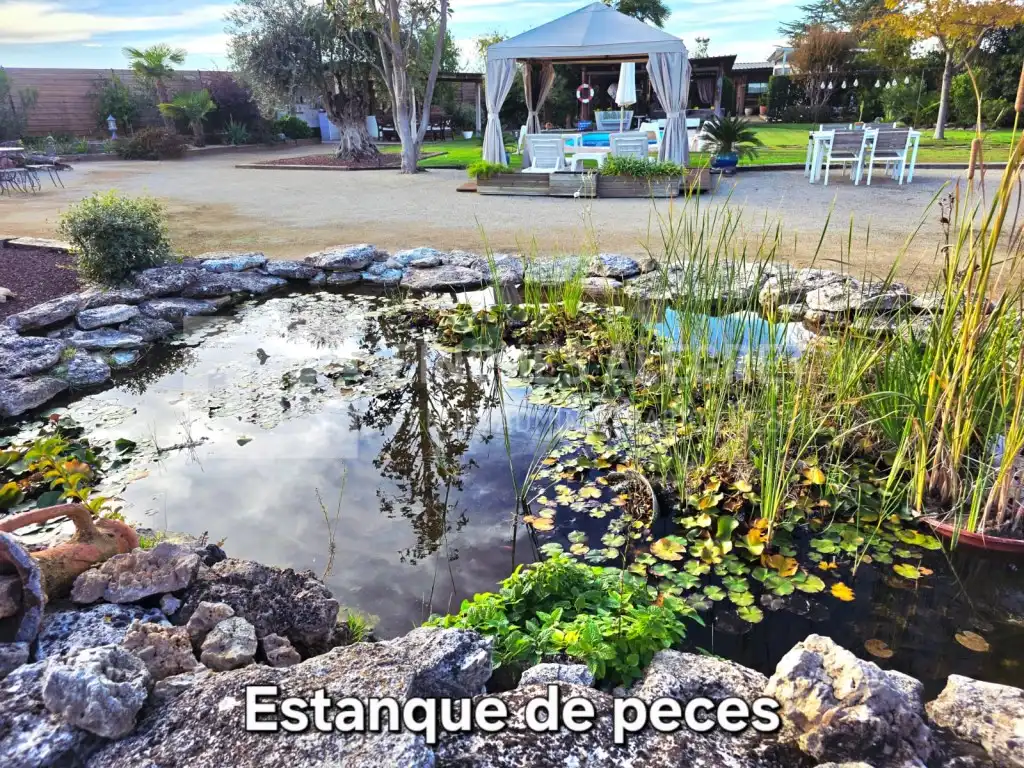 Jardín de Casa o chalet en venta en Alpicat