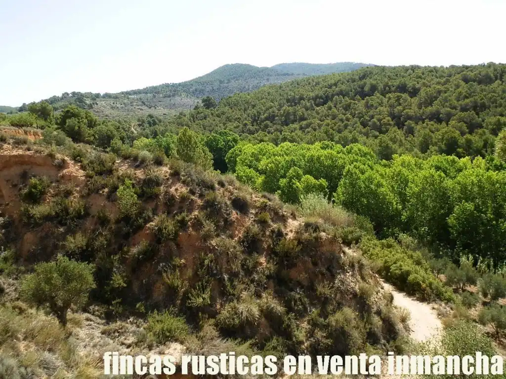 Terreny rústic en venda a Jijona / Xixona, imagen 19