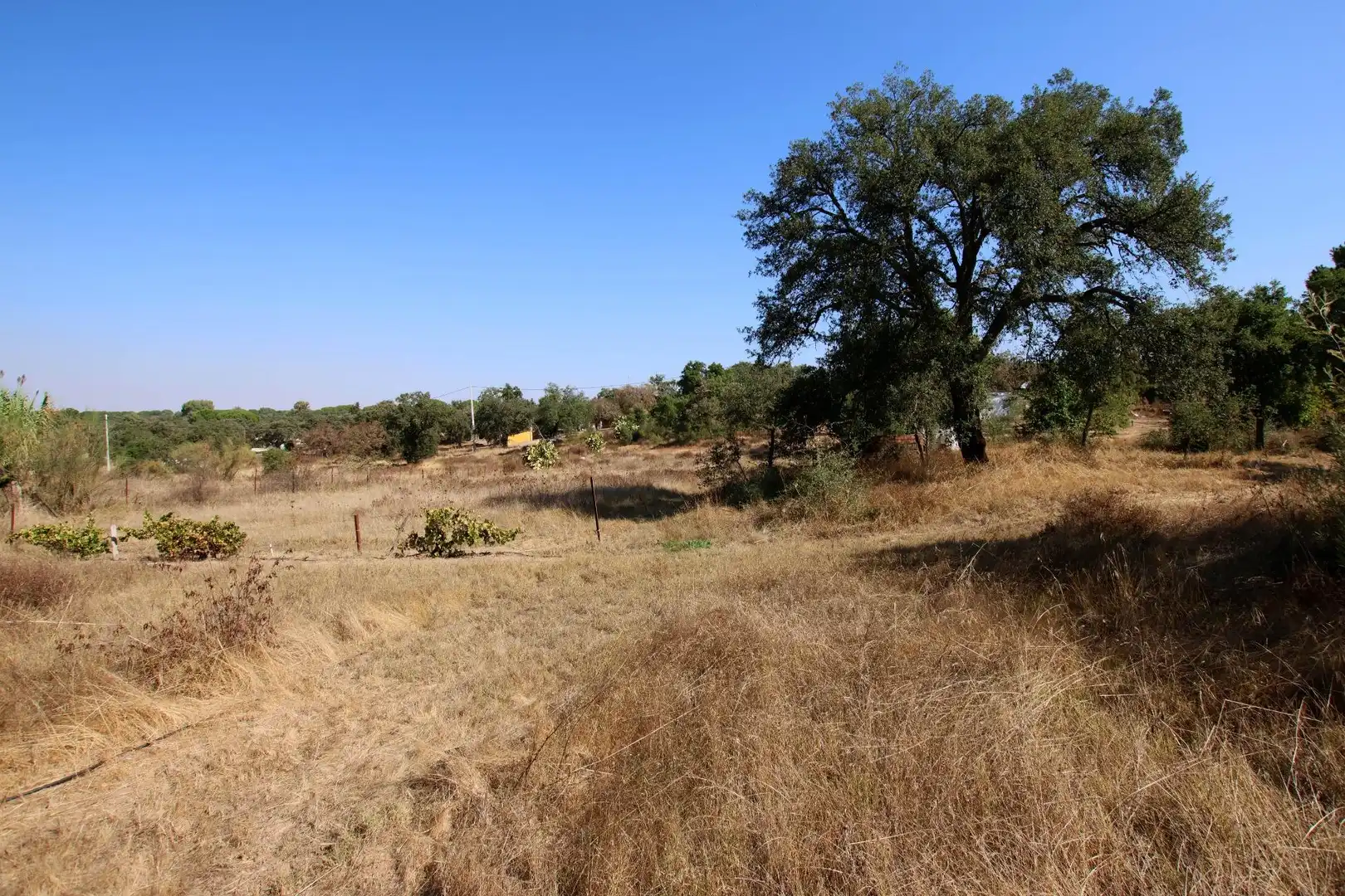 Finca rústica en venda en Badajoz amb Traster i Piscina