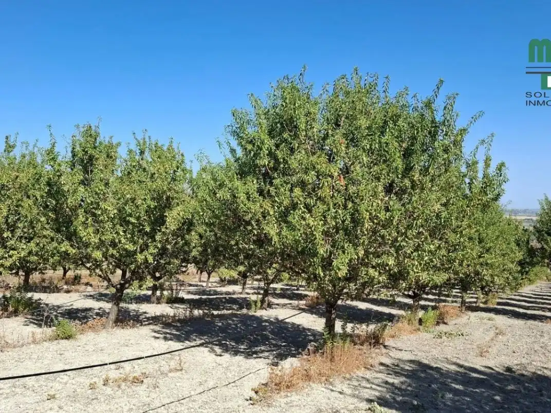 Rural land for sale in Avda. Blas Infante 33, imagen 2