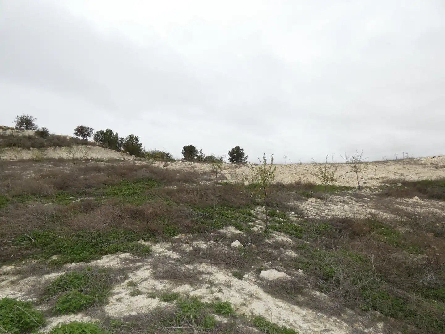 Terreno en venta en María